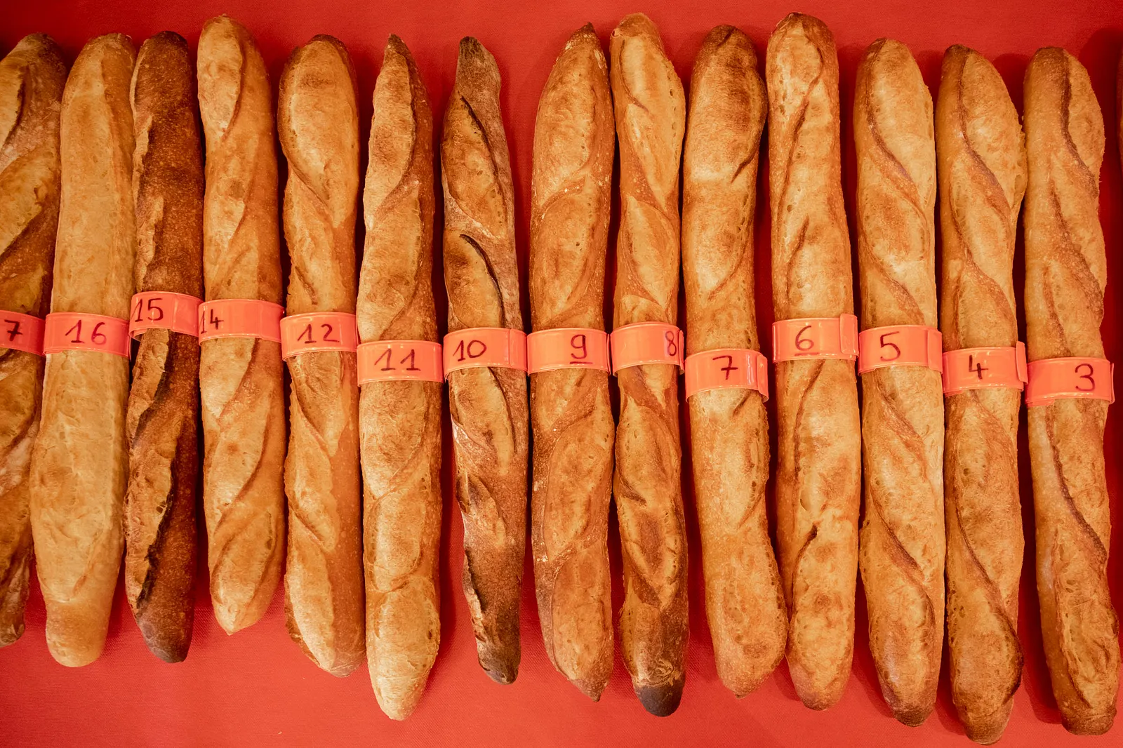 And the Winner of the 2024 Best Baguette in Paris is ...