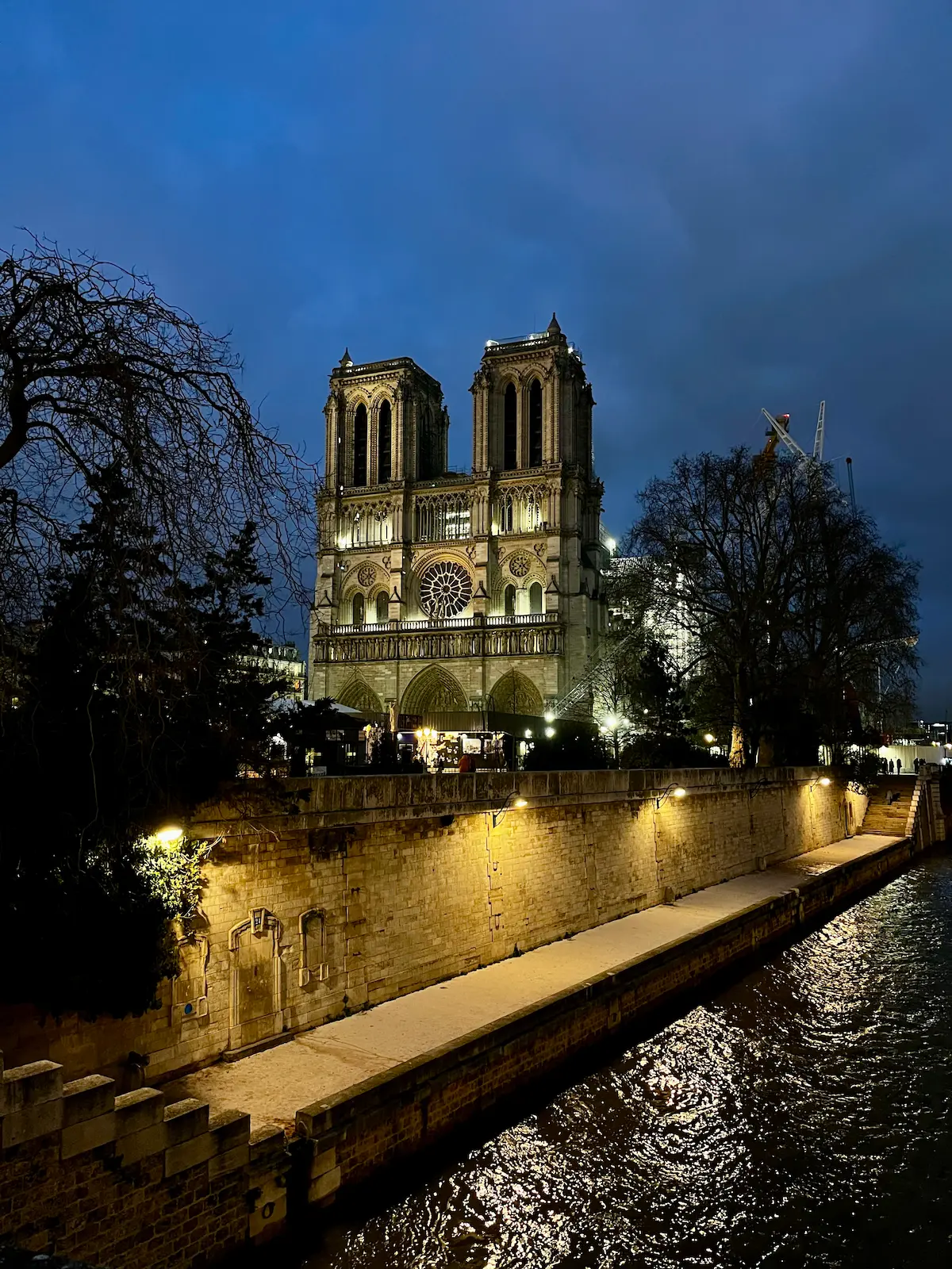 Notre-Dame at night from the river