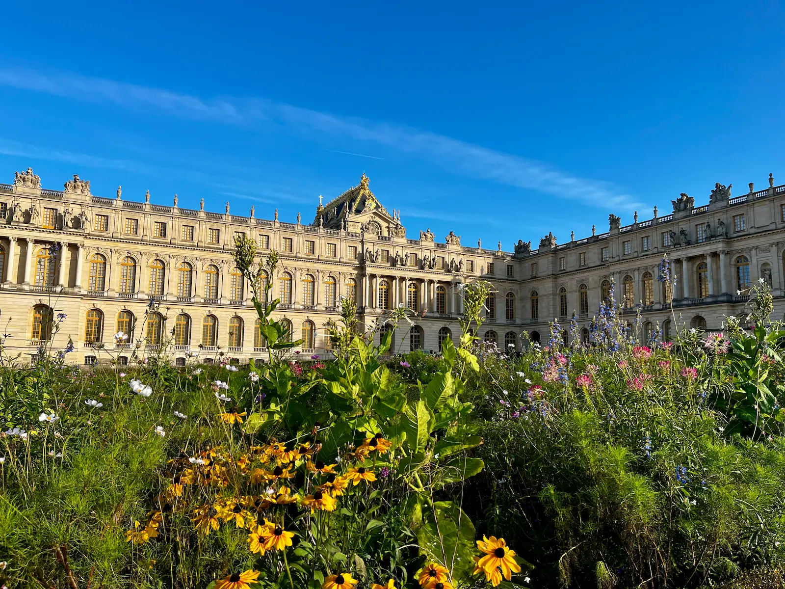 The palace of Versailles and its landscape